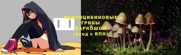 стаф Абинск
