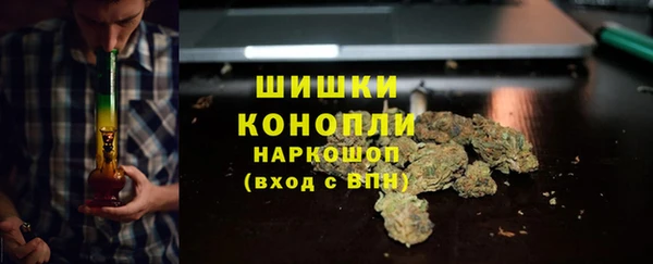 стаф Абинск