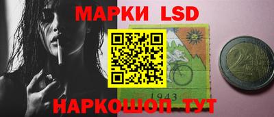 гашик Шелехов