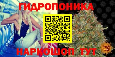 гашик Шелехов