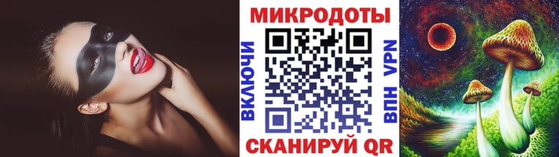Псилоцибиновые грибы мицелий  купить   Великий Новгород 